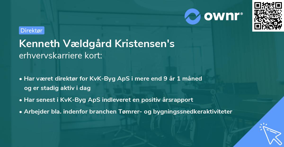 Kenneth Vældgård Kristensen's erhvervskarriere kort