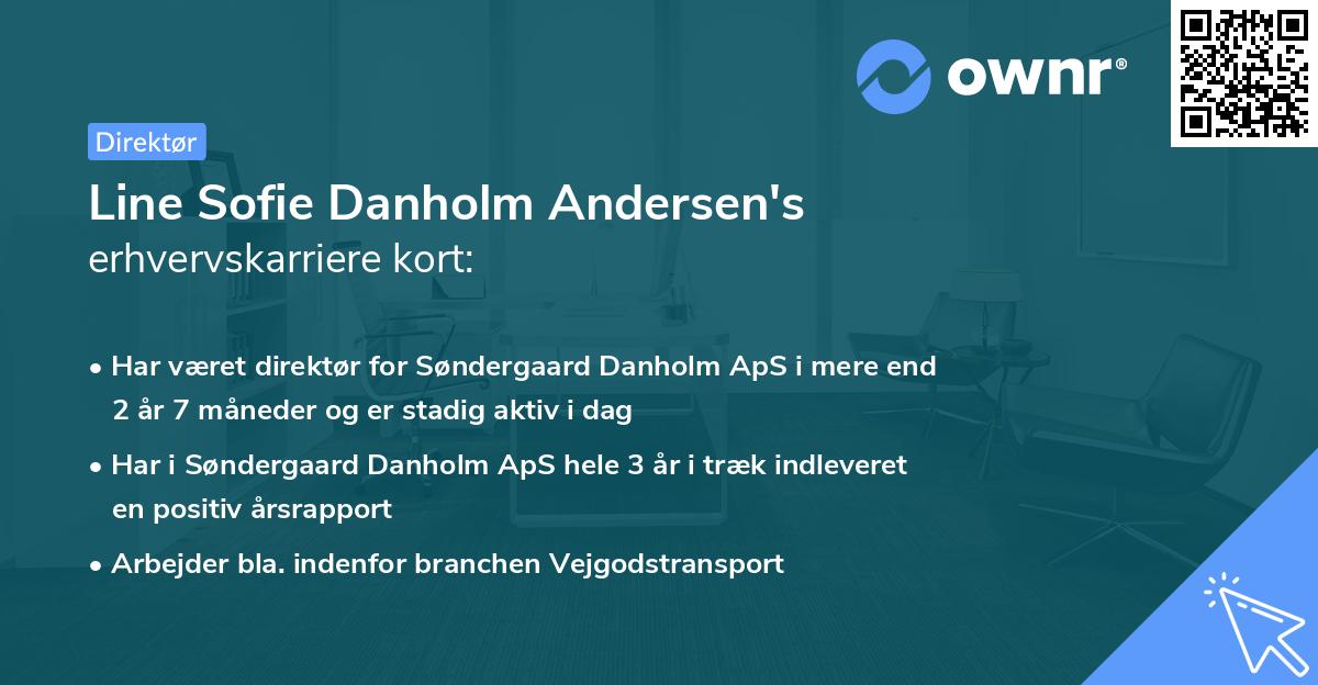 Line Sofie Danholm Andersen's erhvervskarriere kort