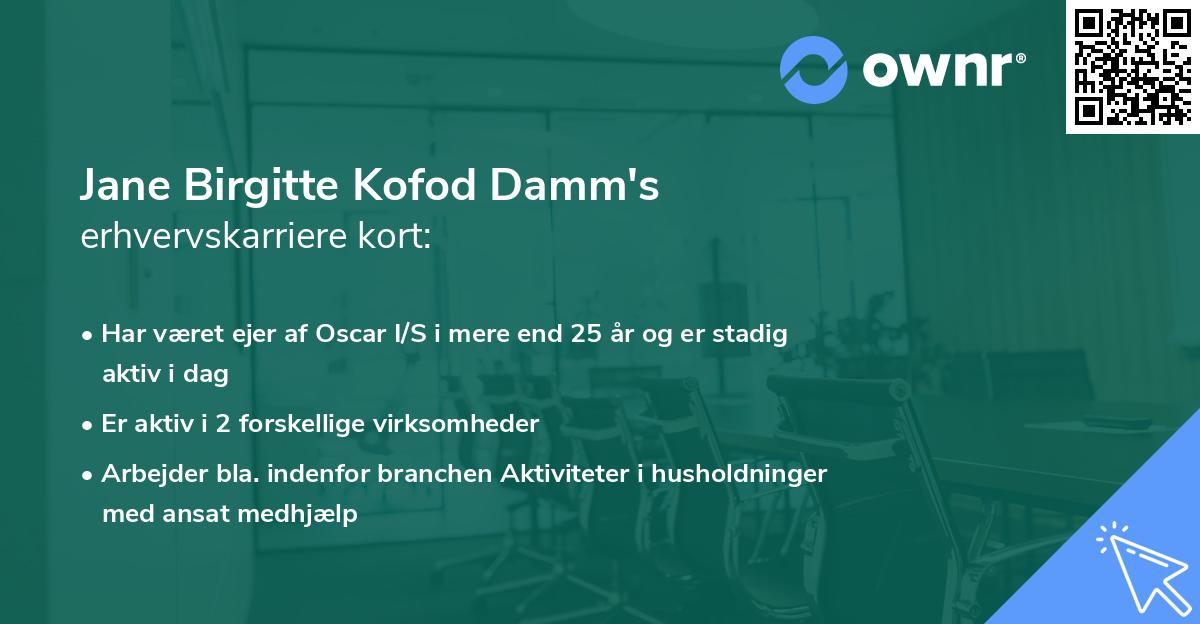 Jane Birgitte Kofod Damm's erhvervskarriere kort