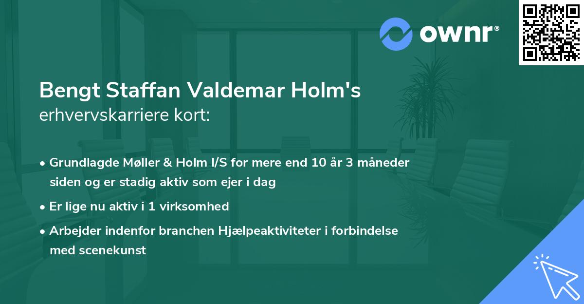 Bengt Staffan Valdemar Holm's erhvervskarriere kort