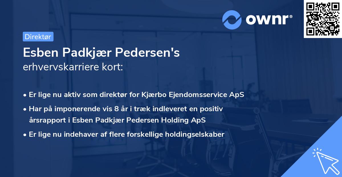 Esben Padkjær Pedersen's erhvervskarriere kort