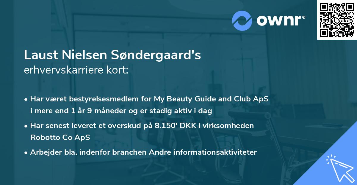 Laust Nielsen Søndergaard's erhvervskarriere kort