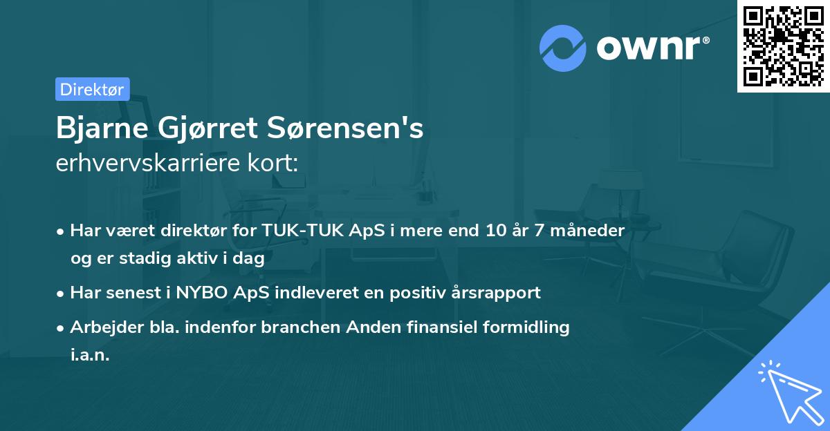 Bjarne Gjørret Sørensen's erhvervskarriere kort