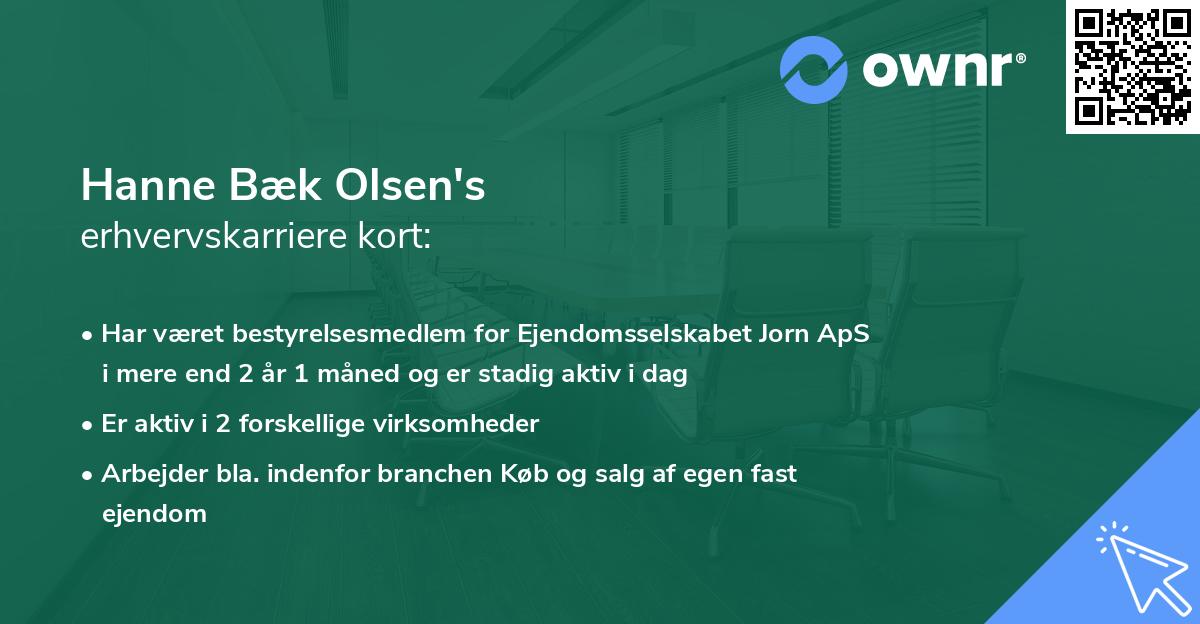 Hanne Bæk Olsen's erhvervskarriere kort