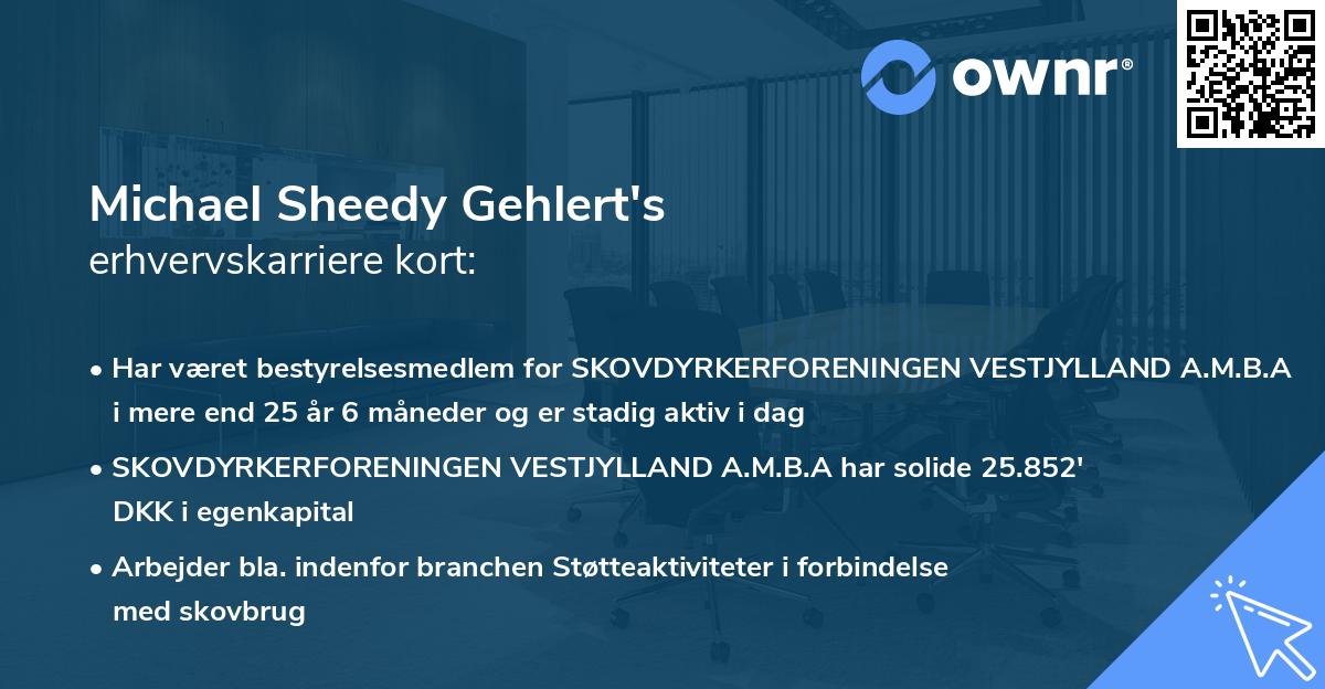 Michael Sheedy Gehlert's erhvervskarriere kort