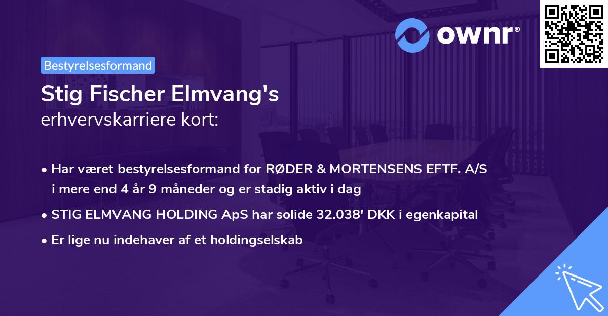 Stig Fischer Elmvang's erhvervskarriere kort