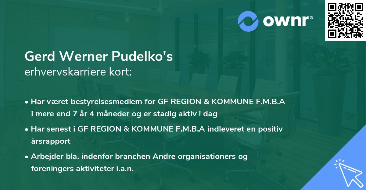 Gerd Werner Pudelko's erhvervskarriere kort