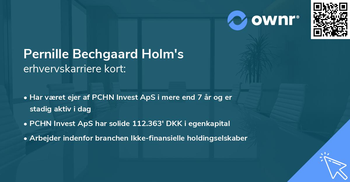 Pernille Bechgaard Holm's erhvervskarriere kort