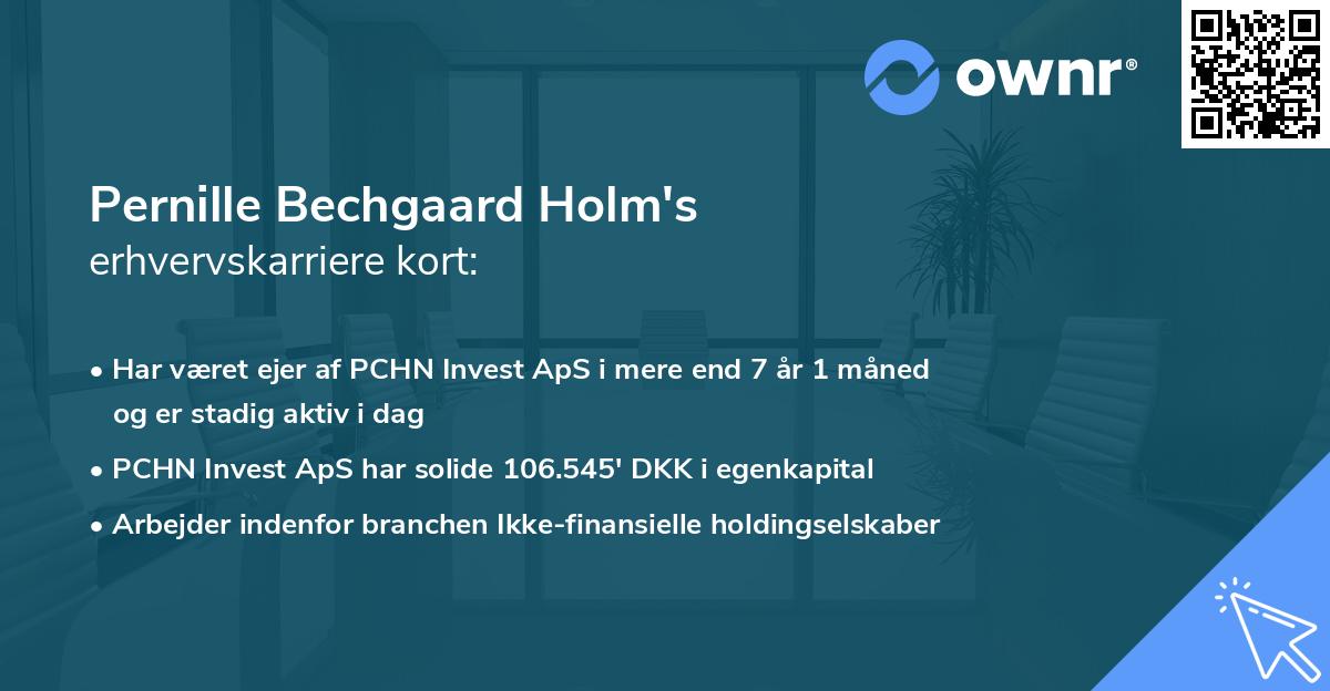 Pernille Bechgaard Holm's erhvervskarriere kort