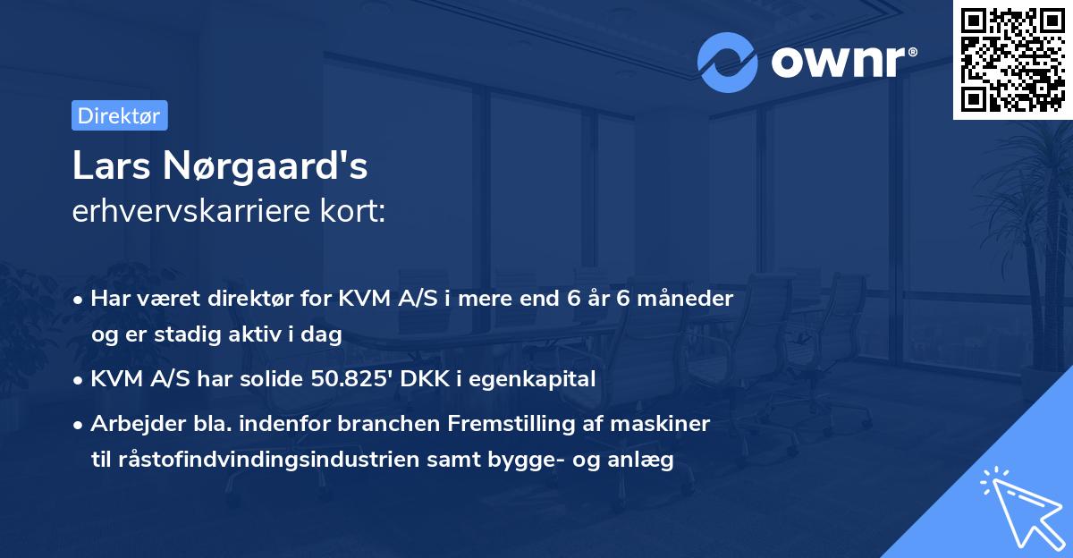 Lars Nørgaard's erhvervskarriere kort