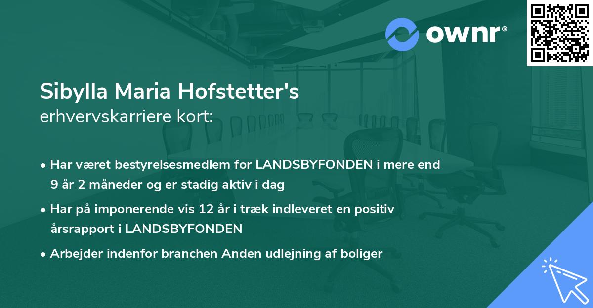 Sibylla Maria Hofstetter's erhvervskarriere kort