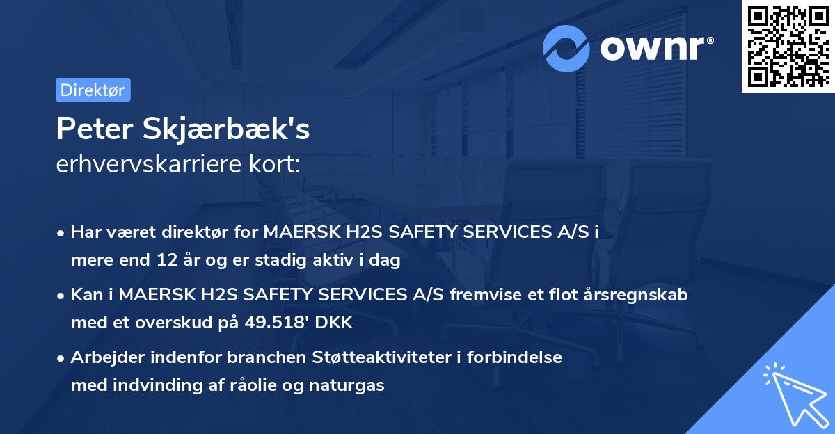 Peter Skjærbæk's erhvervskarriere kort