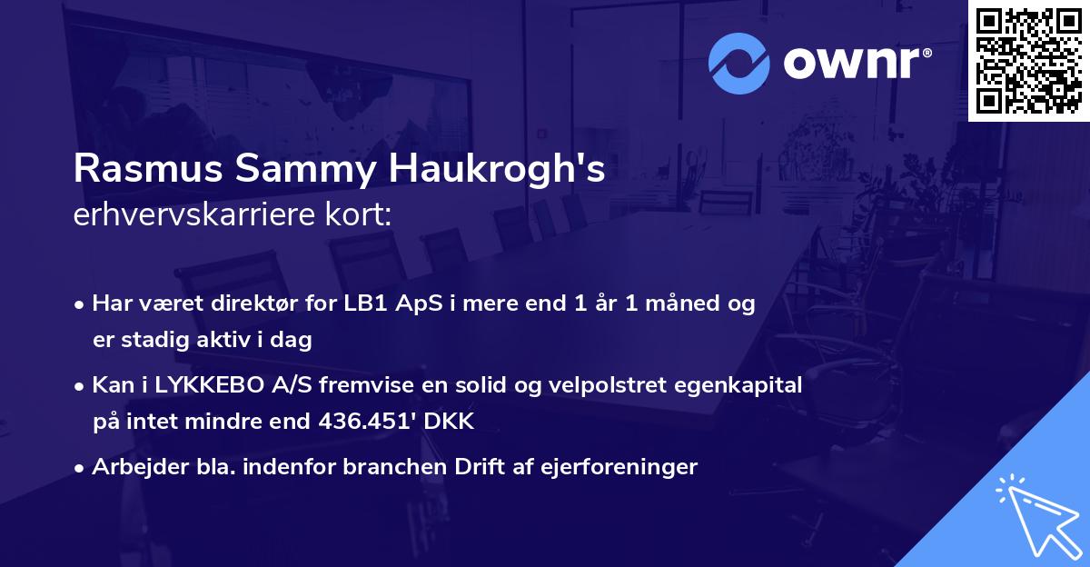 Rasmus Sammy Haukrogh's erhvervskarriere kort