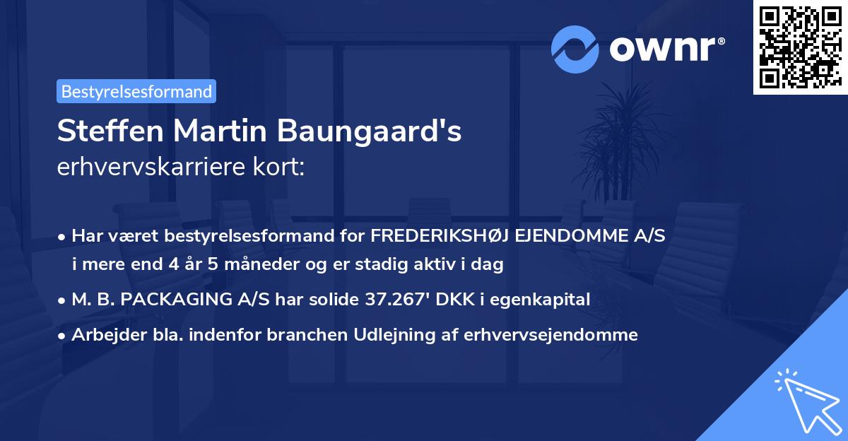 Steffen Martin Baungaard's erhvervskarriere kort