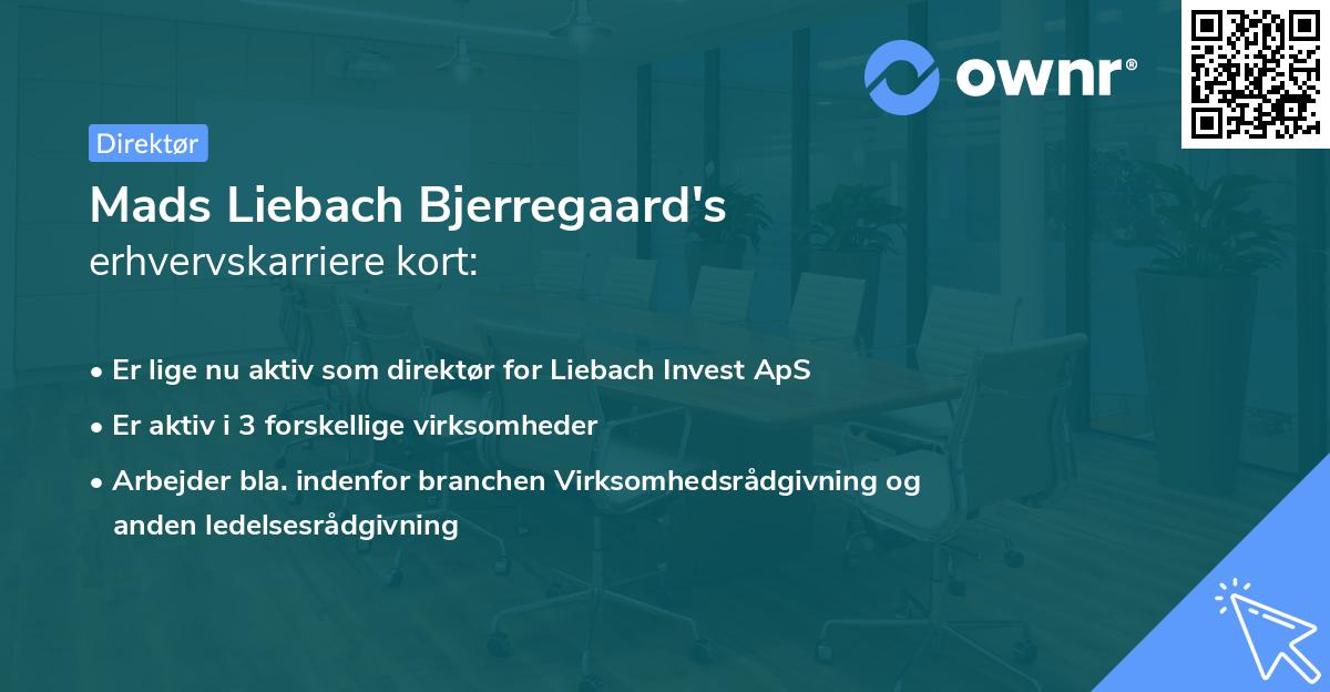 Mads Liebach Bjerregaard's erhvervskarriere kort