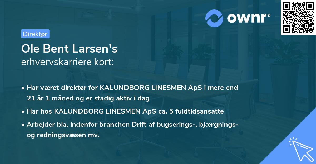 Ole Bent Larsen's erhvervskarriere kort