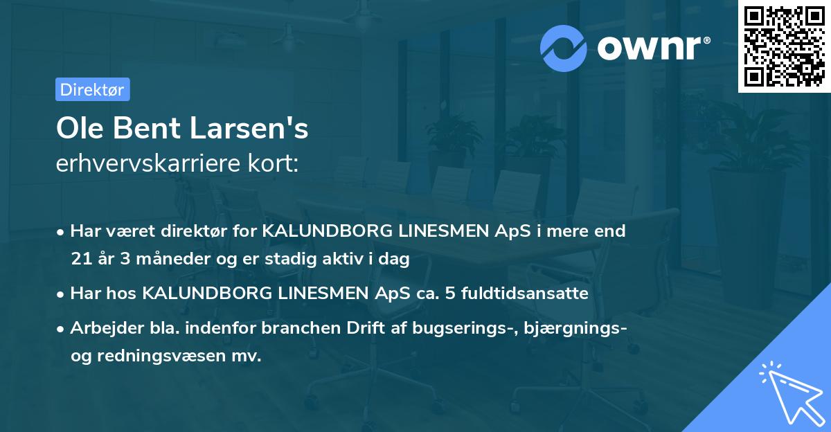 Ole Bent Larsen's erhvervskarriere kort