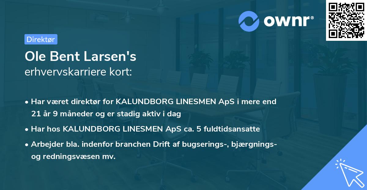 Ole Bent Larsen's erhvervskarriere kort
