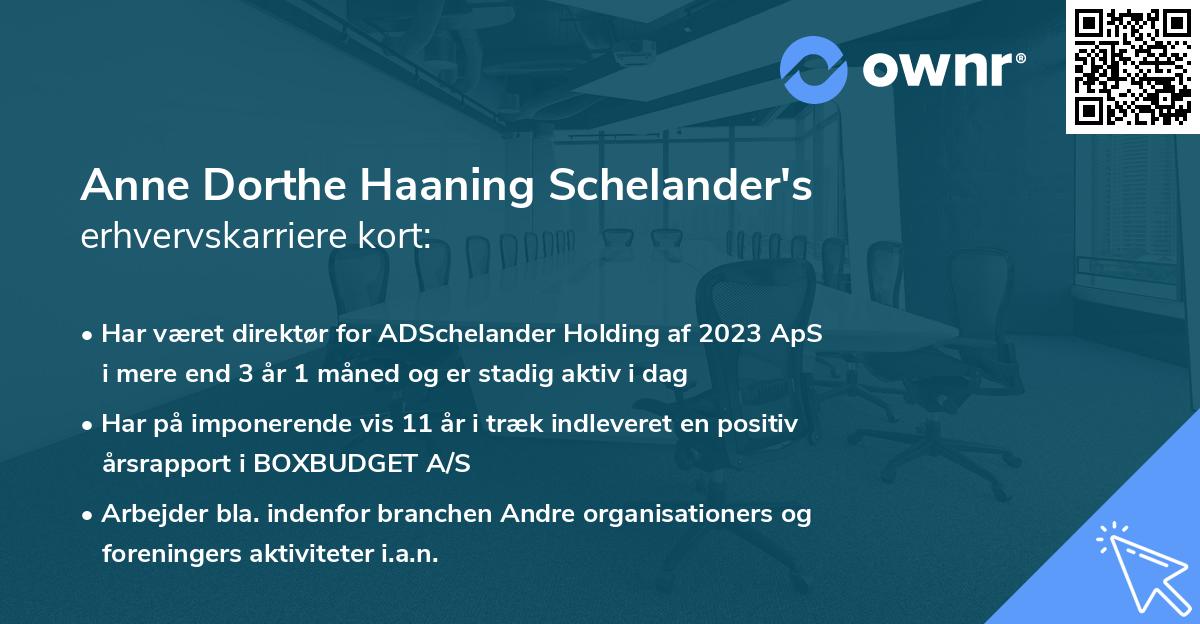 Anne Dorthe Haaning Schelander's erhvervskarriere kort