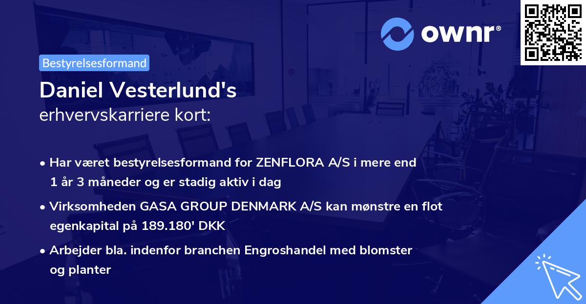 Daniel Vesterlund's erhvervskarriere kort