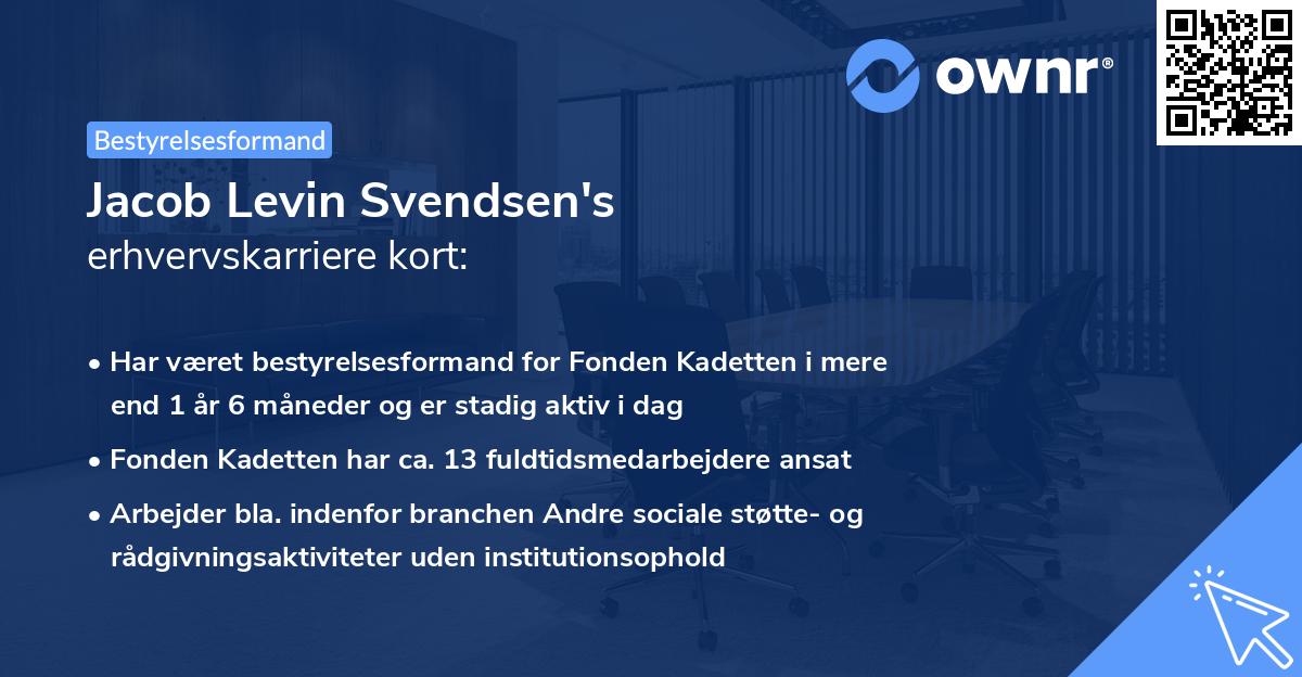 Jacob Levin Svendsen's erhvervskarriere kort