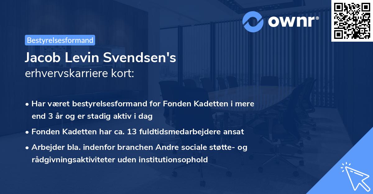 Jacob Levin Svendsen's erhvervskarriere kort