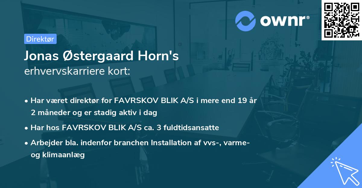 Jonas Østergaard Horn's erhvervskarriere kort