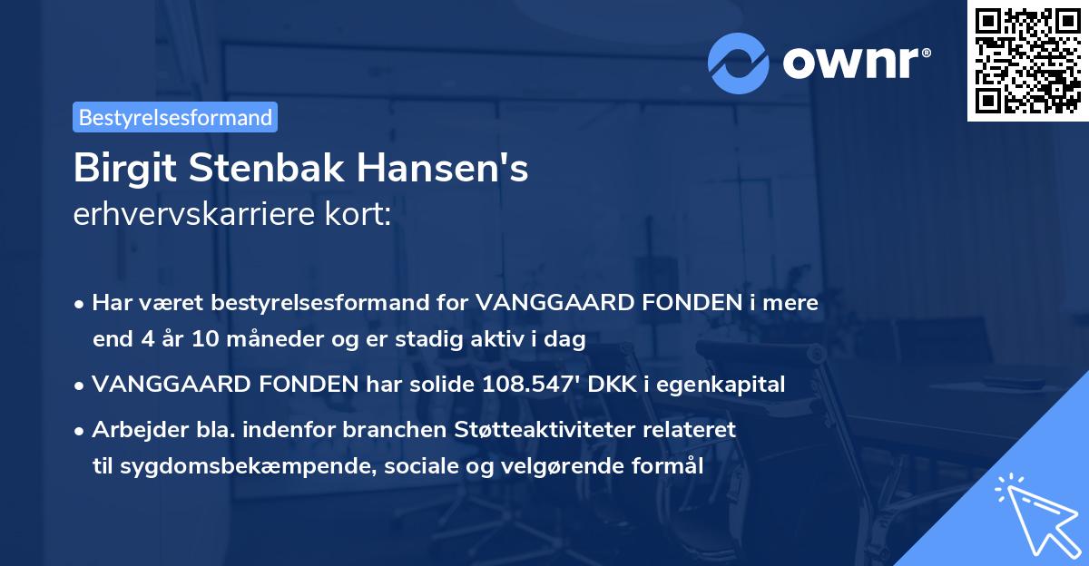 Birgit Stenbak Hansen's erhvervskarriere kort