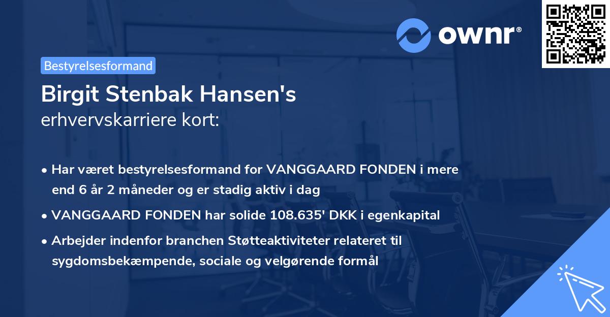 Birgit Stenbak Hansen's erhvervskarriere kort