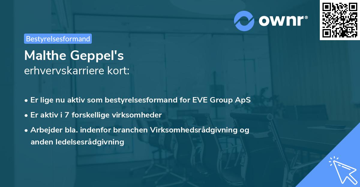 Malthe Geppel's erhvervskarriere kort