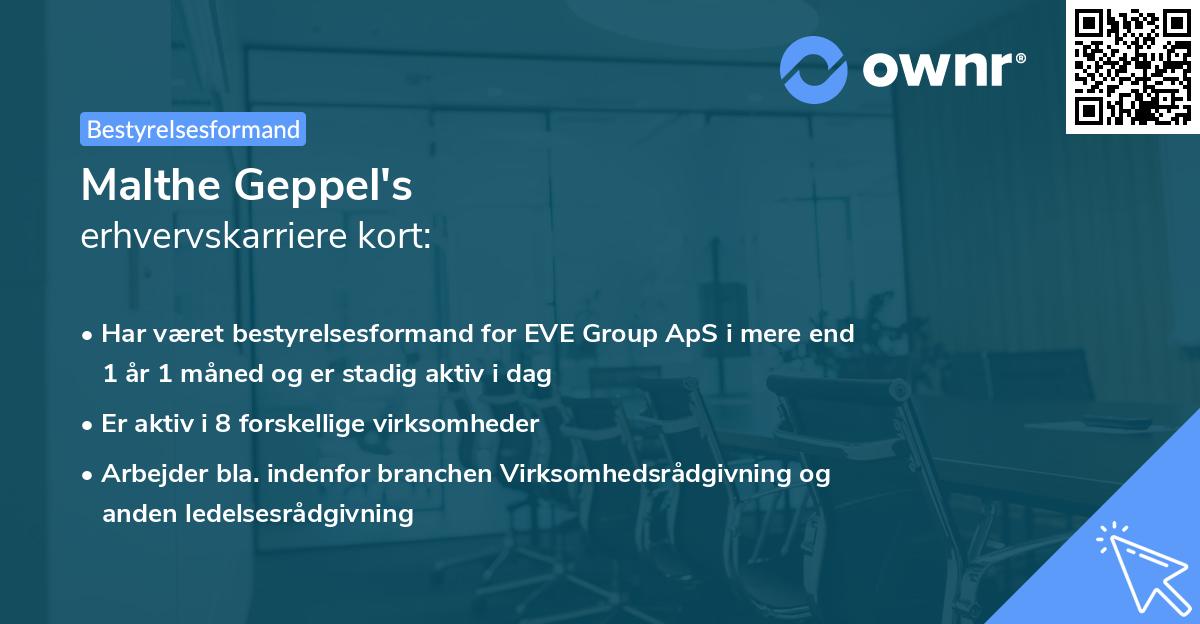 Malthe Geppel's erhvervskarriere kort