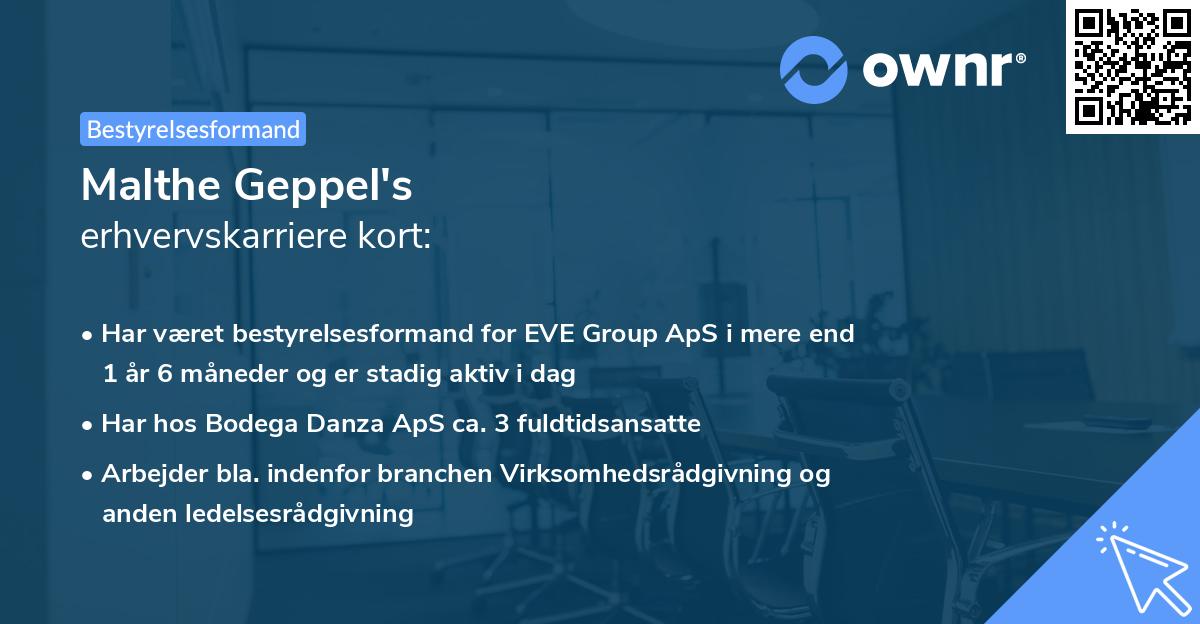 Malthe Geppel's erhvervskarriere kort