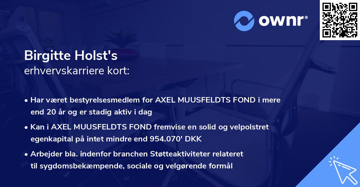 Birgitte Holst's erhvervskarriere kort