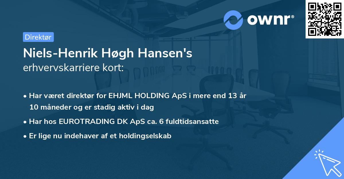 Niels-Henrik Høgh Hansen's erhvervskarriere kort