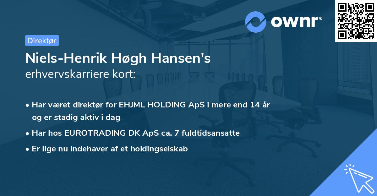 Niels-Henrik Høgh Hansen's erhvervskarriere kort