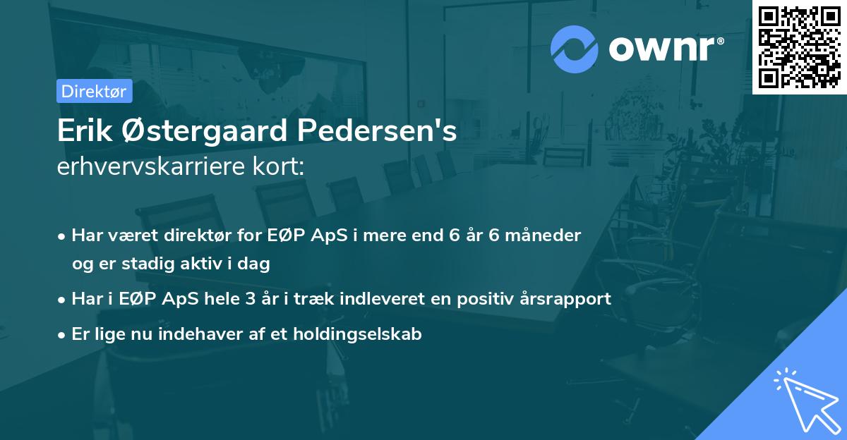 Erik Østergaard Pedersen's erhvervskarriere kort