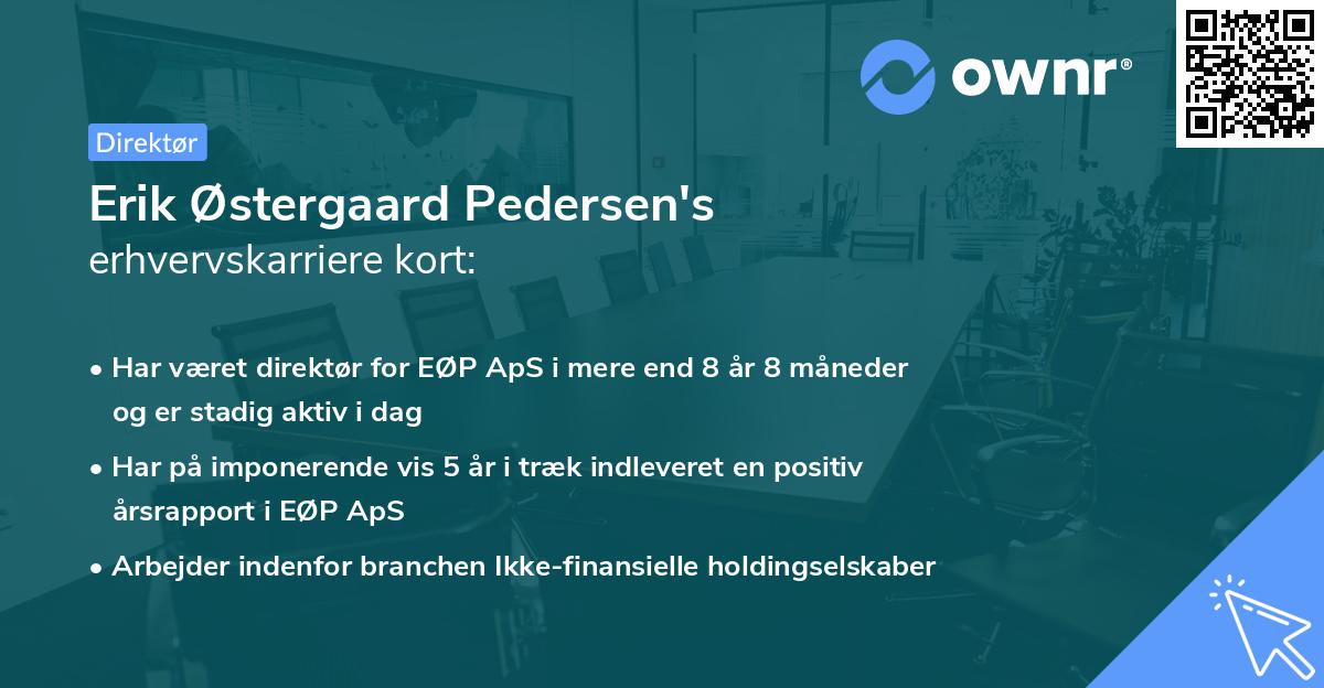 Erik Østergaard Pedersen's erhvervskarriere kort