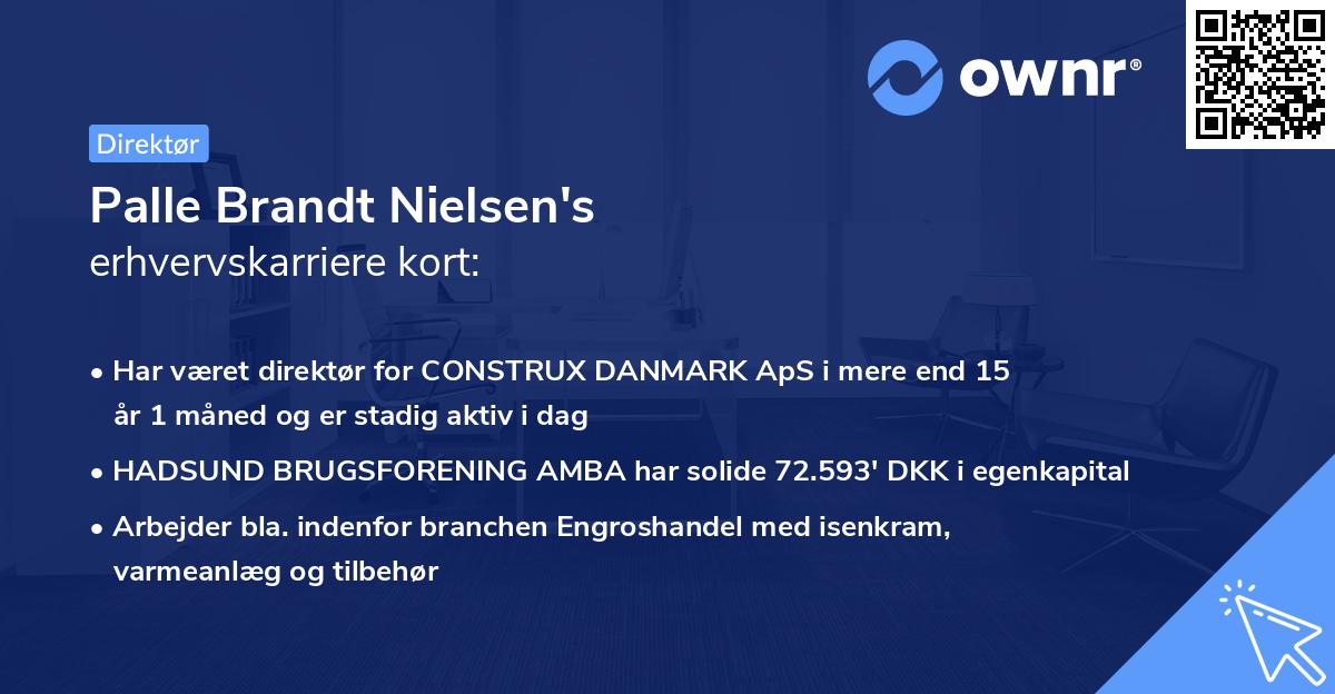 Palle Brandt Nielsen's erhvervskarriere kort