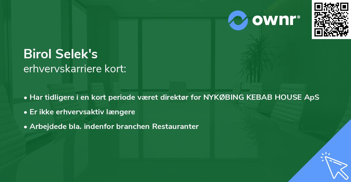 Birol Selek's erhvervskarriere kort