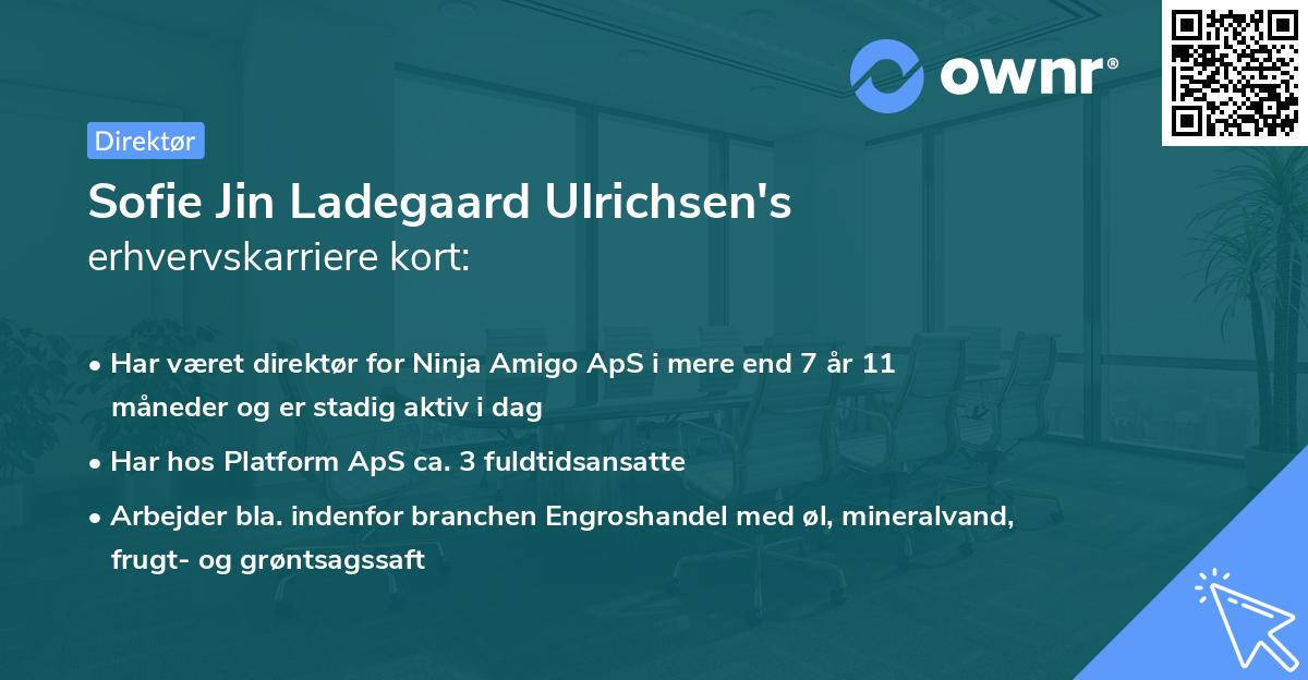 Sofie Jin Ladegaard Ulrichsen's erhvervskarriere kort