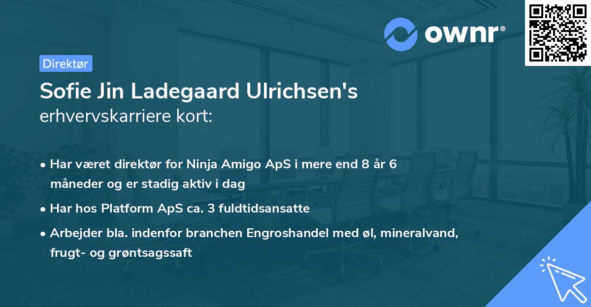 Sofie Jin Ladegaard Ulrichsen's erhvervskarriere kort