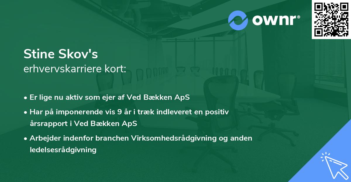 Stine Skov's erhvervskarriere kort