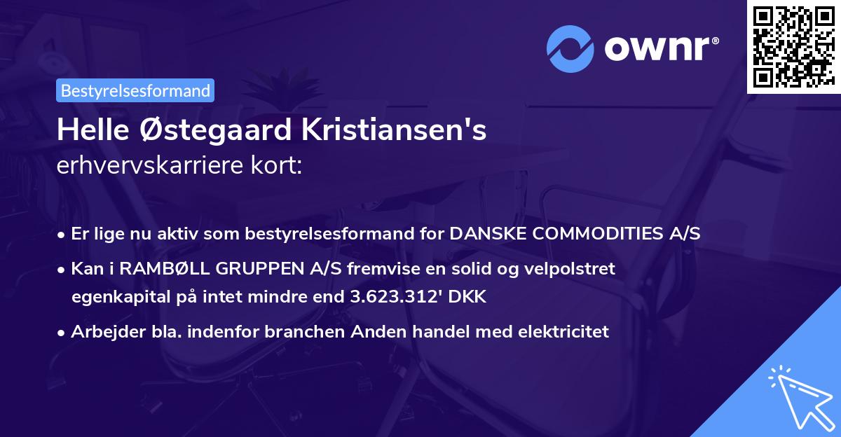 Helle Østegaard Kristiansen's erhvervskarriere kort