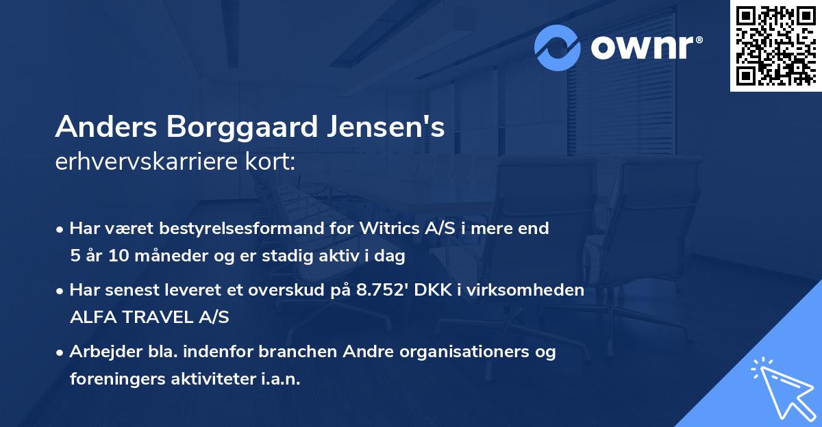 Anders Borggaard Jensen's erhvervskarriere kort