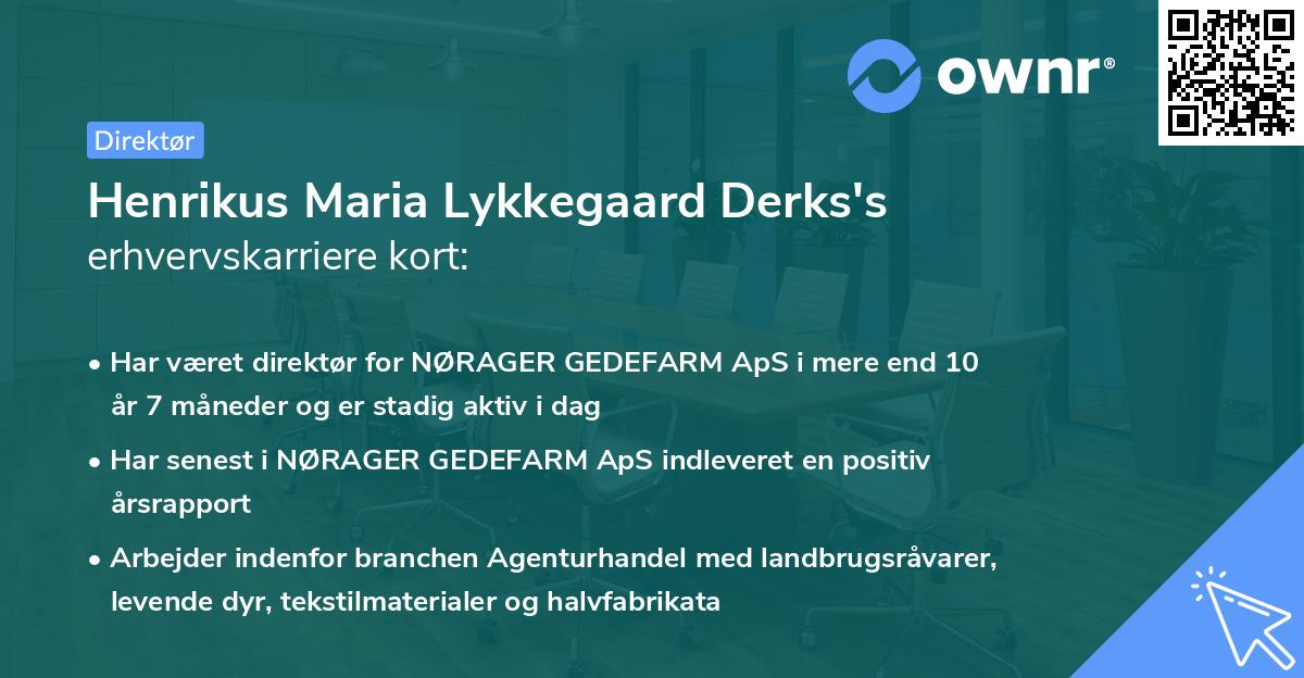 Henrikus Maria Lykkegaard Derks's erhvervskarriere kort