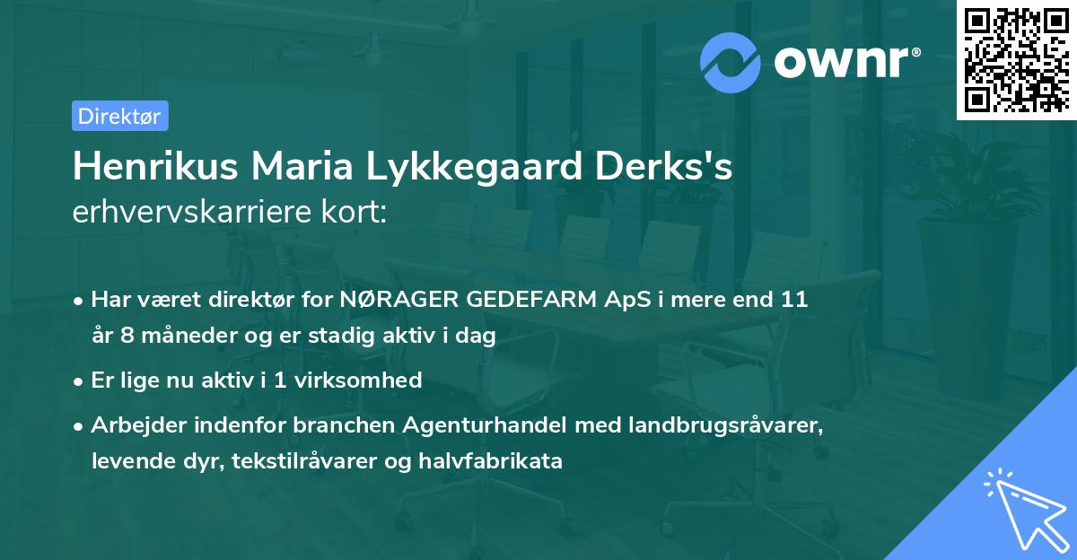 Henrikus Maria Lykkegaard Derks's erhvervskarriere kort