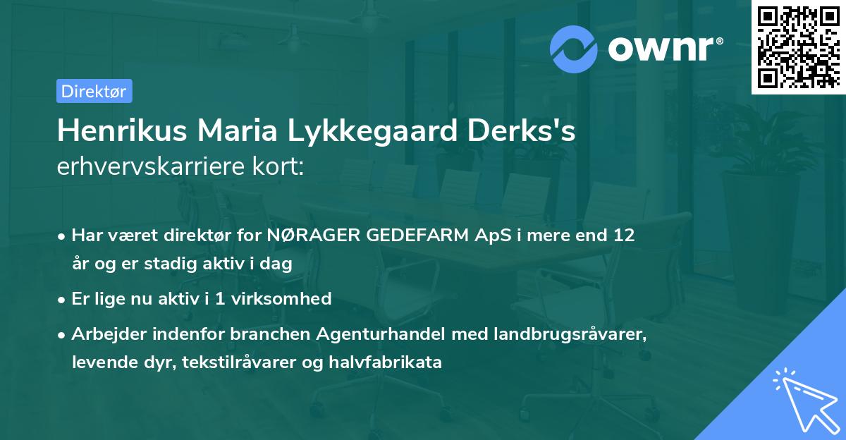 Henrikus Maria Lykkegaard Derks's erhvervskarriere kort