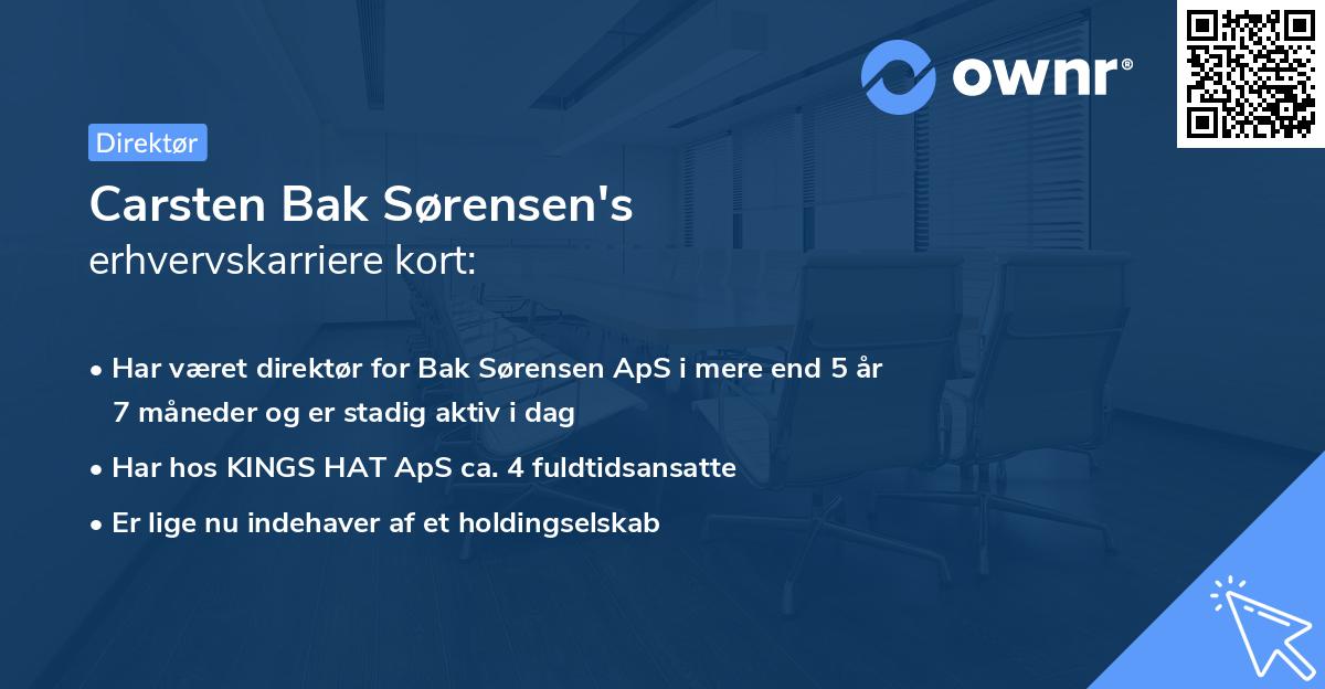 Carsten Bak Sørensen's erhvervskarriere kort