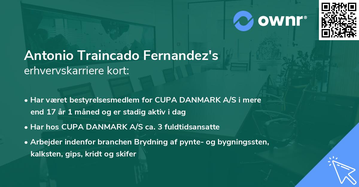 Antonio Traincado Fernandez's erhvervskarriere kort