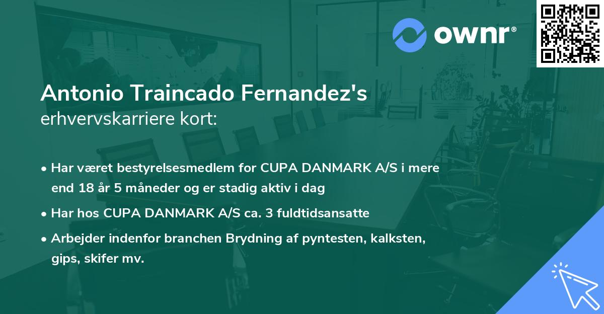 Antonio Traincado Fernandez's erhvervskarriere kort